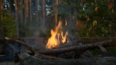 piknik, sağlıklı yaz açık rekreasyon kavramı akşam yangın alev