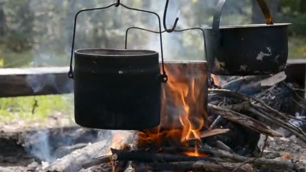 Three camping pots hanging over an open fire, preparing delicious food on a picnic — Stock Video