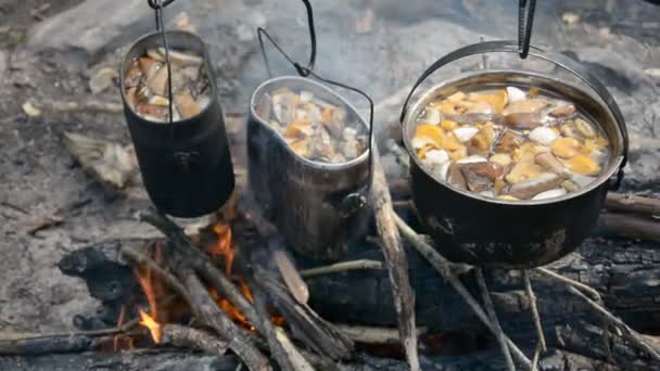 Cooking mushroom soup on campfire — Stock Video