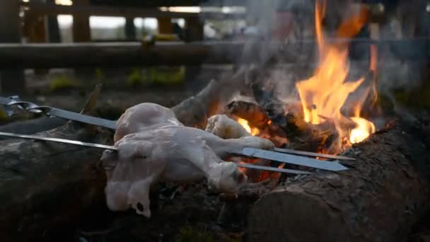 Wieczorne gotowanie nóg kurczaka na ognisku w obozie letnim. — Wideo stockowe