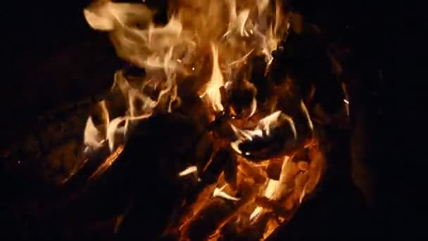 Пламя костра крупным планом — стоковое видео