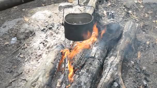 Camping de comida, cocinar en una fogata en el bosque — Vídeos de Stock