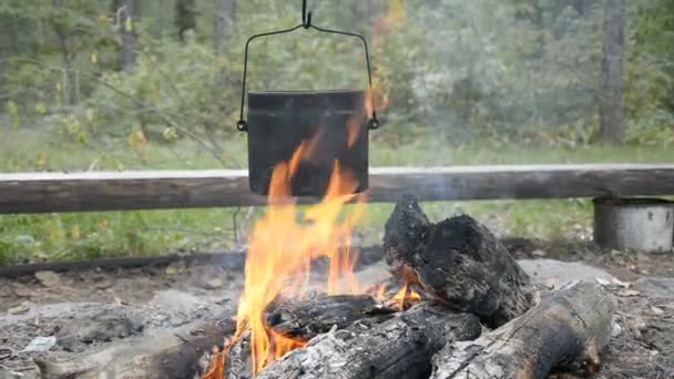 Camping alimentaire, cuisine sur un feu de camp dans la forêt — Video