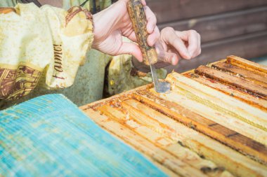 Arı kovanı ile eldiven olmadan insan ellerinin Açık otantik ateş