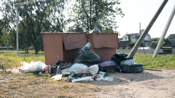 Minsk, Belarus - September 09, 2019: Plastic bags of garbage are in the container — Stock Video