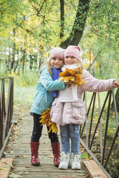 Duas irmãs, primos, caminham no parque de outono — Fotografia de Stock
