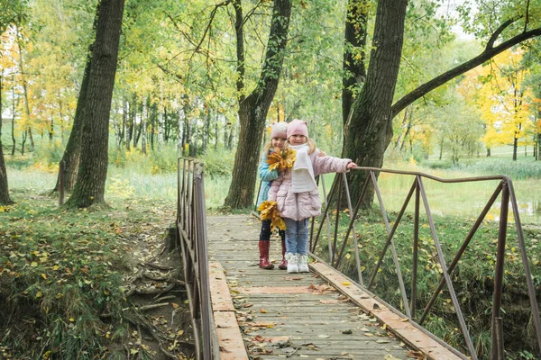 Deux sœurs, cousines, marchent dans le parc d'automne — Photo