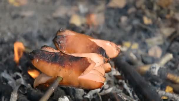 Pieczenie Kiełbasy Nad Ogniskiem Przyrodzie Jedzenie Dla Turystów — Wideo stockowe