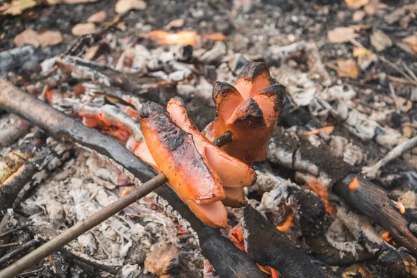 Cozinhar salsichas em uma fogueira em uma viagem de acampamento — Fotografia de Stock