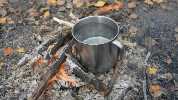 En resenär kokar vatten på en liten brasa i skogen i en stor metallmugg — Stockvideo