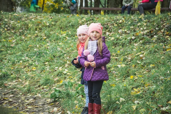 Deux petites filles à l'âge de cinq ans jouent dans le plaisir dans le parc d'automne — Photo