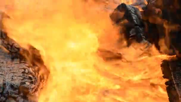 Naturel grand feu flamme close-up fond — Video