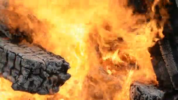 Grande flamme sur le feu gros plan — Video