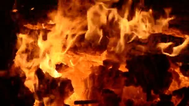 Fuego del campamento ardiendo de cerca macro en la noche al aire libre — Vídeos de Stock