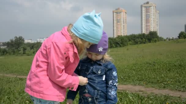 Две маленькие девочки сестры играют в парке на зеленой траве — стоковое видео