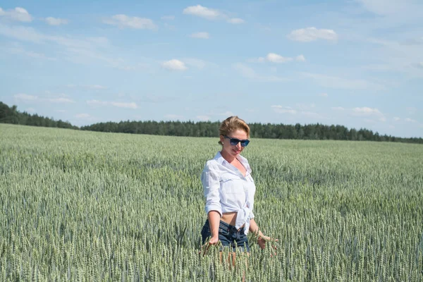 Stylish Woman White Shirt Jeans Shorts Walks Wheat Field Sunny — Stock Photo, Image