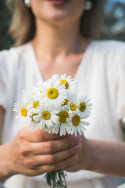 Bir yaz parkında güzel bir kızın ellerinde papatyalar olan küçük bir buket.