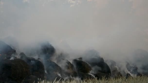 Le grand feu étendu sur le terrain