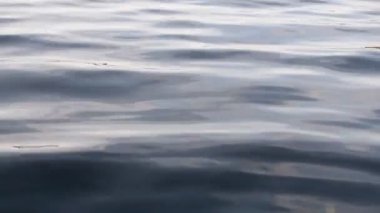 Su dalgaları arka planı