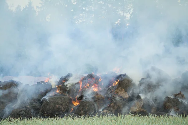 Сжигание соломенной соломы фермерам во время сбора урожая — стоковое фото