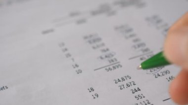 Muhasebeci Mali Raporu Kontrol Etti