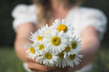 Bir buket papatya, açık havada kadınların ellerinde.