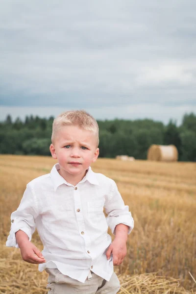 小麦の分野の小さな男の子 幸せな家族の概念 — ストック写真