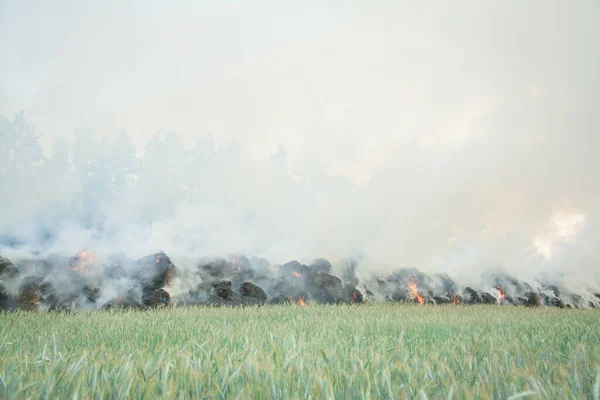 Пожар Поле После Сбора Урожая Пшеницы Летом — стоковое фото