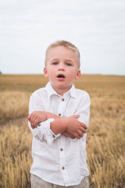 Buğday tarlasında beş yaşında küçük bir çocuk.