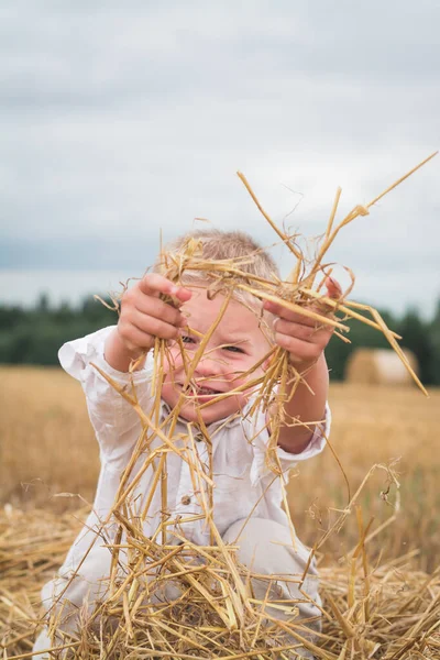 Schöner Kleiner Junge Weißen Hemd Wird Einem Weizenfeld Fotografiert — Stockfoto