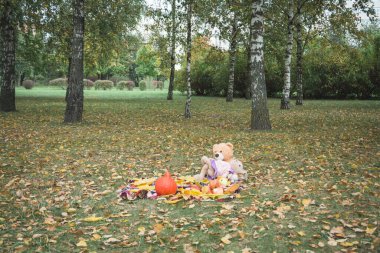 Şehir parkında emty piknik yeri