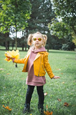 Sonbahar parkında tüylü yapraklarla oynayan üç yaşında küçük bir kız.