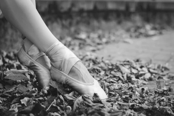 紅葉の中の紅葉公園のバレリーナの足 — ストック写真