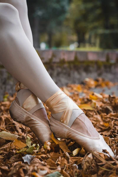 Балеринові Ноги Осінньому Парку Серед Листя — стокове фото