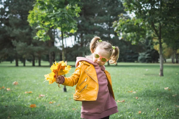 Маленька Трирічна Дівчинка Грає Листям Пір Осінньому Парку — стокове фото