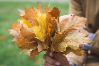 Sarı akçaağaç buketi kadınların elinde bırakır.