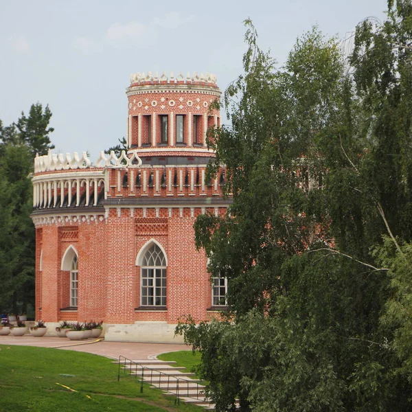 Moszkva Oroszország 2019 Lovasház Fán Ágak Tsaritsyno Park Múzeum Nyári — Stock Fotó