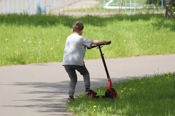 Хлопчик Футболці Їде Скутер Асфальтній Доріжці Парку Фоні Зеленої Трави — стокове фото