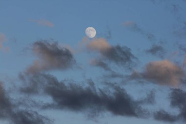 Akşamları küçük beyaz dolunay. Mavi gökyüzü. Karanlık sirk bulutları, yaz gökyüzü.