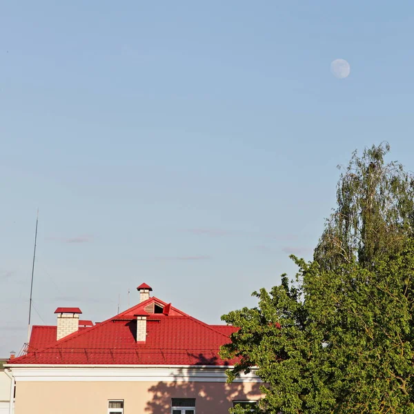 A full moon in a clear blue sky above the old red tile roof of a house and the green top of a tree on a summer evening