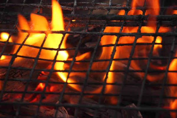불타는 위에서 바베큐를 — 스톡 사진