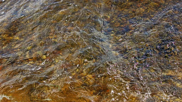 Transparente Wasseroberfläche Mit Kieselsteinboden Textur Für Hintergrund — Stockfoto