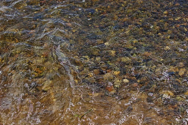 Kieselsteinboden Unter Klarem Wasser Textur Für Hintergrund — Stockfoto