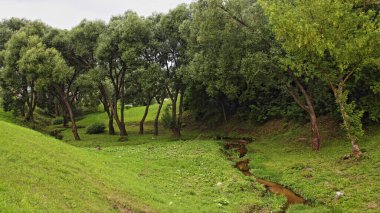Büyük bir nehrin vadisinde küçük, dolambaçlı bir nehir. Bir yaz günü yeşil ağaçların arka planına karşı. Nehirlerin yönünü değiştiriyor.