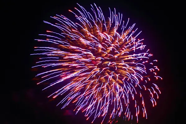 Lila Blauw Rood Vuurwerk Donkere Nachtelijke Hemel Close Feestelijke Groet — Stockfoto