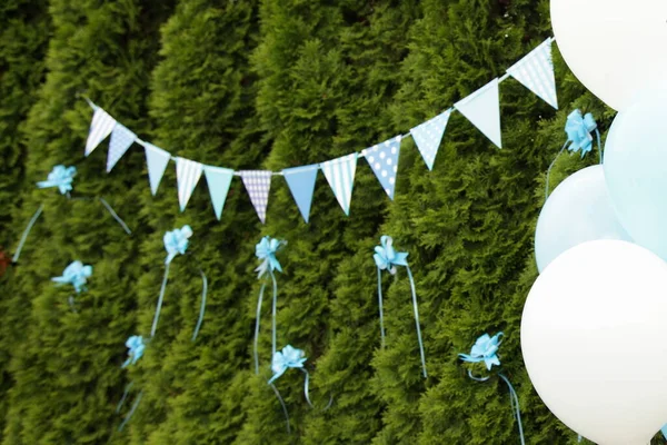 Nature party background, suspension with blue and white pennants between white balloons on a background of green boxwood trees