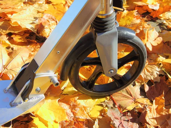 Front wheel of folding kick scooter close up on Bright yellow orange mapple leaves background on Sunny october day, modern ecological personal city transport