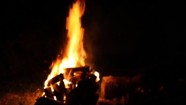 Nacht Verschwommenes Lagerfeuer Aus Nächster Nähe Orangefarbene Flamme Und Brennendes — Stockvideo