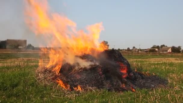 Heldere Brandende Hooiberg Van Dichtbij Het Veld Met Rook Brandende — Stockvideo