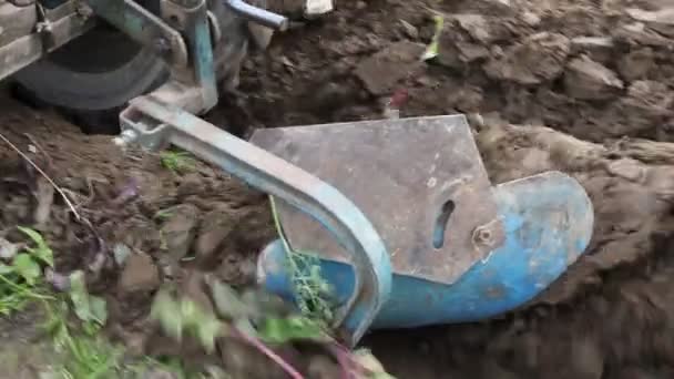 Soprando Solo Campo Com Arado Montado Trator Walk Perto Agricultura — Vídeo de Stock